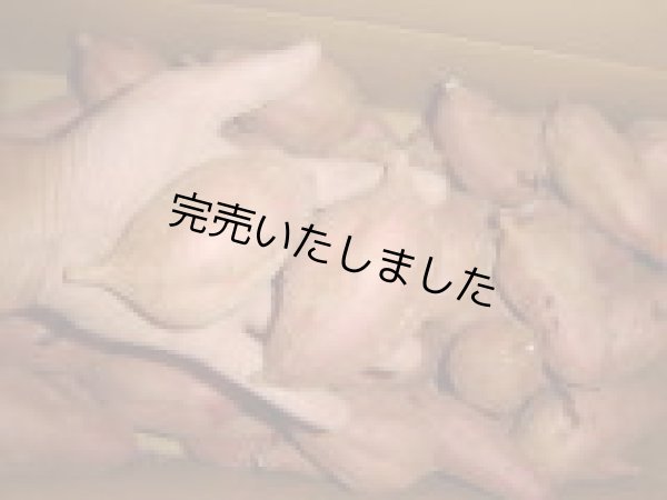 画像2: 安納紅芋Ｓ（２箱） (2)