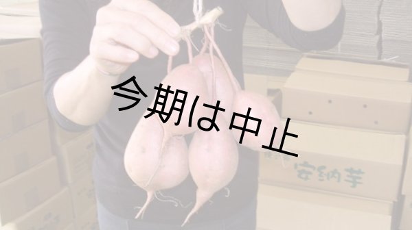 画像2: つるし芋完熟(3箱)【今期は中止】 (2)