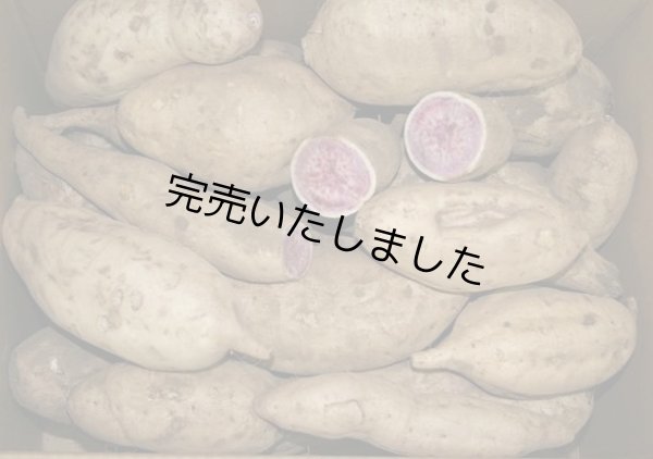 画像1: わけあり紫芋(５Kg)       (1)