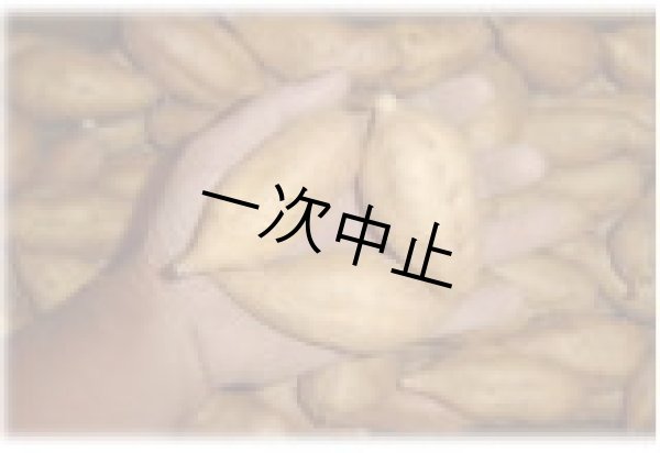 画像2: こがねコロコロ２箱 (2)