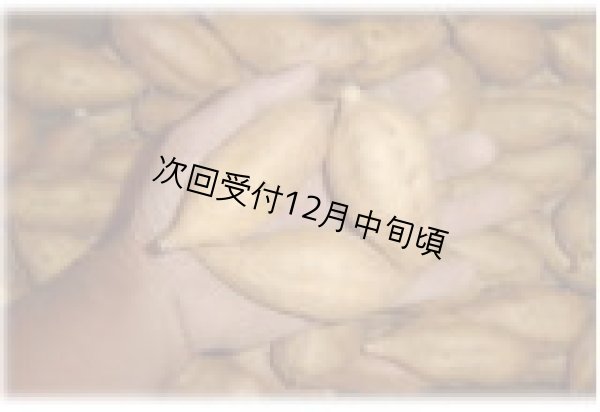 画像2: 安納こがねコロコロ (2)