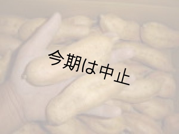 画像2: 安納こがねＳ（４箱） (2)