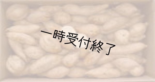画像1: 安納こがねコロコロ (1)