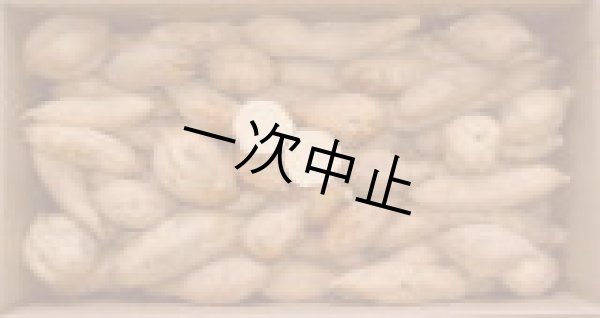 画像1: こがねコロコロ２箱 (1)