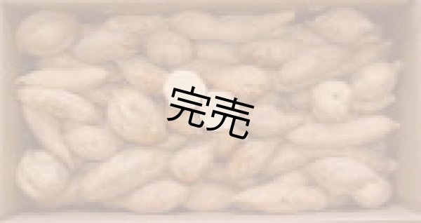 画像1: こがねコロコロ２箱 (1)