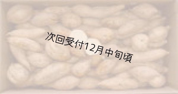 画像1: 安納こがねコロコロ (1)