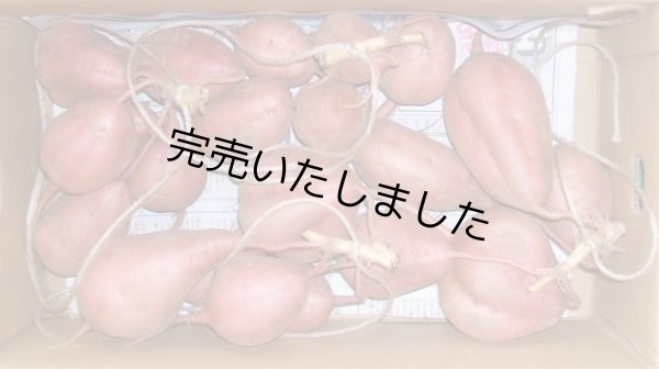 画像1: つるし芋完熟（２箱）【収穫量減の為お受けできません】 (1)