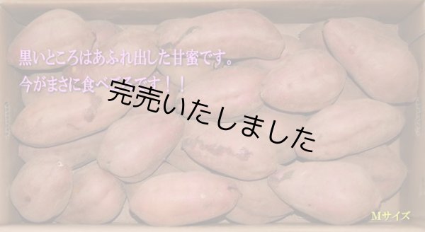画像1: 安納紅芋Ｍ (1)