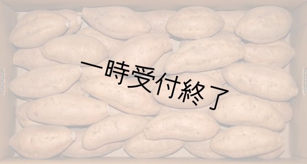 画像1: 安納こがねＳ（３箱） (1)