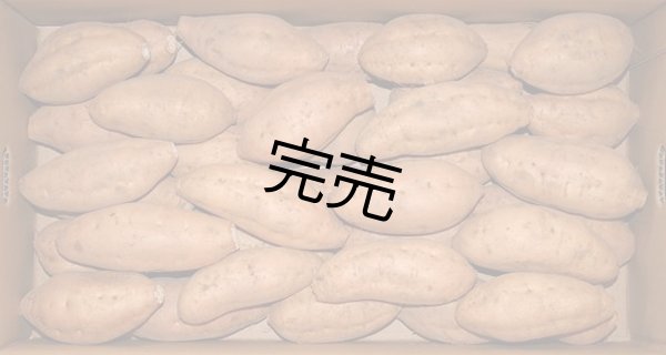 画像1: 安納こがねＳ（４箱） (1)