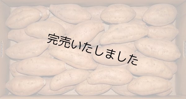 画像1: 安納こがねＳ（２箱） (1)