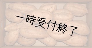 安納黄金（こがね）Lサイズ｜蜜芋専門店の種子島かごんま商店