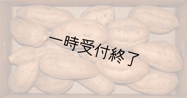 画像1: 安納こがねＬ (1)