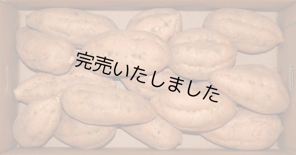 画像1: 安納こがねＬ (1)