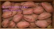 画像1: 安納紅芋Ｍ（２箱）【今シーズンの販売は終了いたしました】 (1)