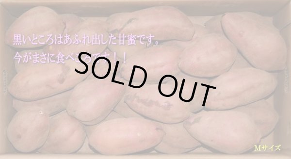 画像1: 安納紅芋Ｍ（２箱）【今シーズンの販売は終了いたしました】 (1)