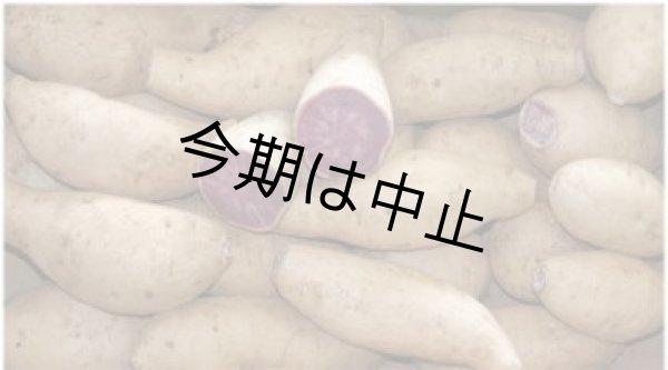 画像1: 種子島紫ＳML混合 (1)