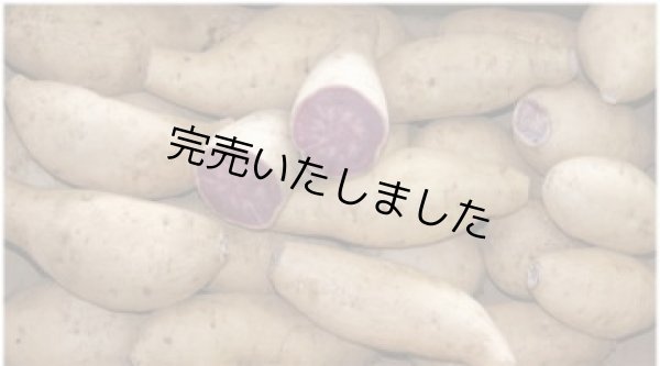 画像1: 種子島紫ＳML混合（２箱） (1)