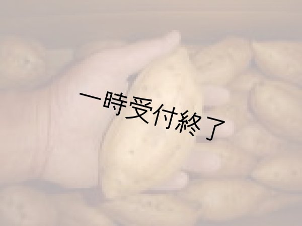 画像2: 安納こがねM(4箱) (2)