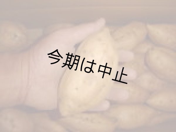 画像2: 安納こがねＭ（３箱） (2)