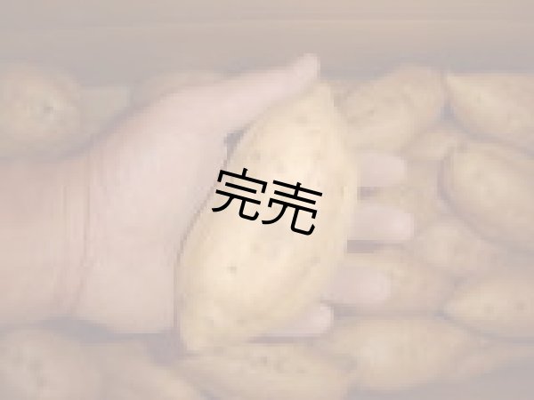 画像2: 安納こがねＭ（４箱） (2)