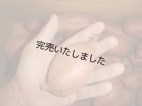 画像2: 安納紅芋Ｍ（４箱） (2)