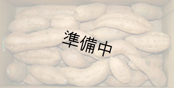 画像1: わけあり安納こがね   【選別後、一定の量が保管出来ましたら12月に受付を判断します】    (1)