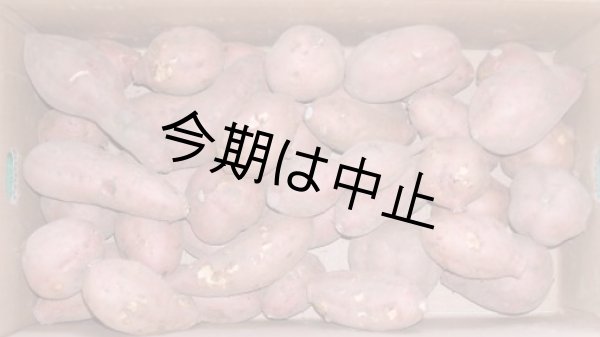 画像1: わけあり安納紅芋５Ｋｇ    (1)