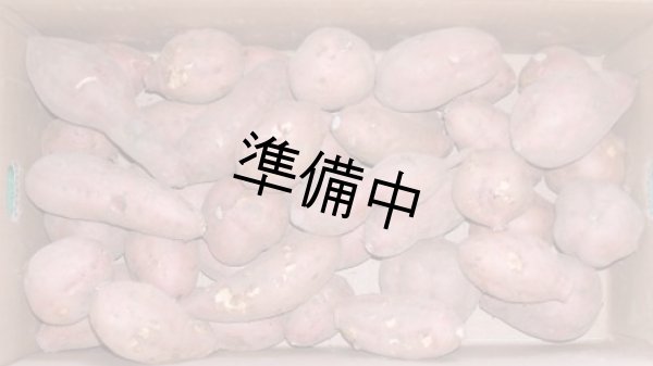 画像1: わけあり安納紅芋５Ｋｇ   【選別後、一定の量が保管出来ましたら12月に受付を判断します】    (1)