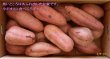 画像1: 安納紅芋Ｌ（３箱）【今シーズンの販売は終了いたしました】 (1)