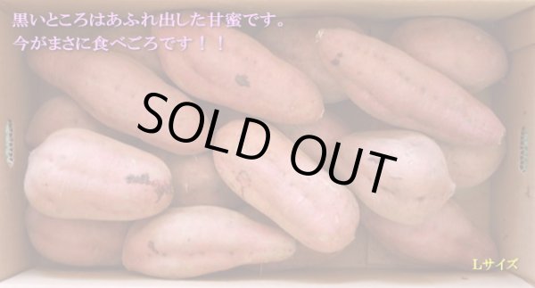 画像1: 安納紅芋Ｌ（２箱）【今シーズンの販売は終了いたしました】 (1)