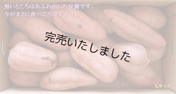 画像1: 安納紅芋Ｌ (1)