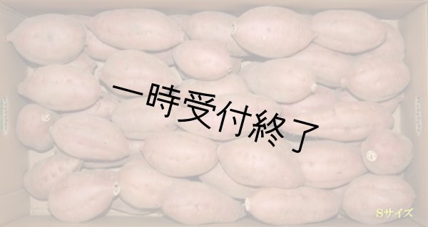 画像1: 安納紅芋Ｓ（２箱） (1)