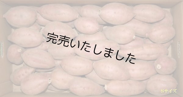 画像1: 安納紅芋Ｓ（２箱） (1)