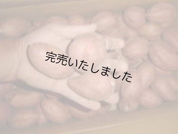 画像2: 安納紅芋コロコロ    (2)