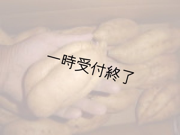 画像2: 安納こがねＬ (2)