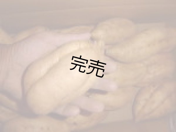 画像2: 安納こがねＬ（４箱） (2)