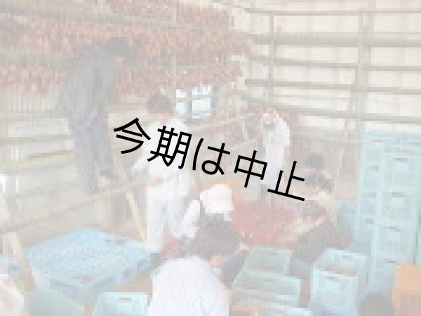 画像3: つるし芋完熟(3箱)【今期は中止】 (3)