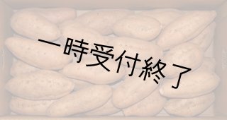 安納黄金（こがね）Mサイズ｜蜜芋専門店の種子島かごんま商店