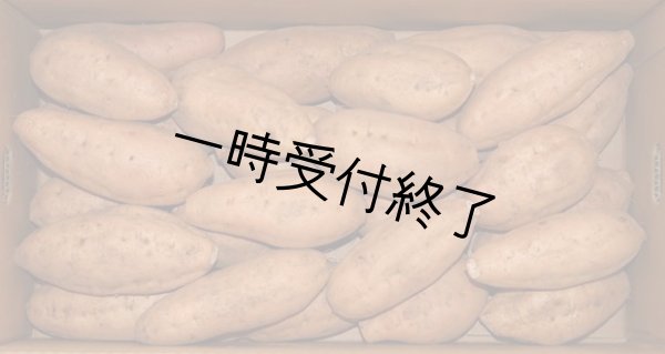 画像1: 安納こがねＭ（２箱） (1)