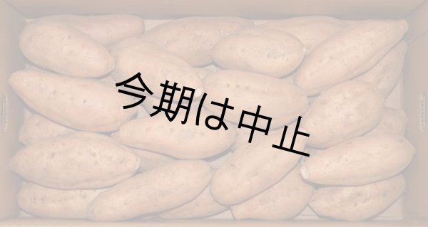 画像1: 安納こがねＭ（３箱） (1)