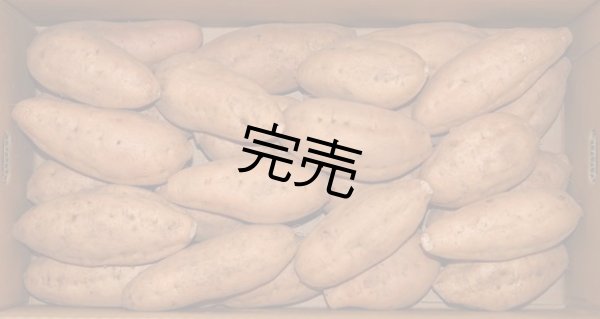 画像1: 安納こがねＭ（４箱） (1)