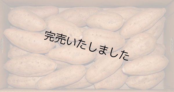 画像1: 安納こがねＭ（４箱） (1)