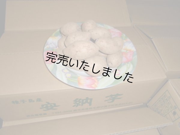 画像1: 種子島紫芋コロコロ (1)