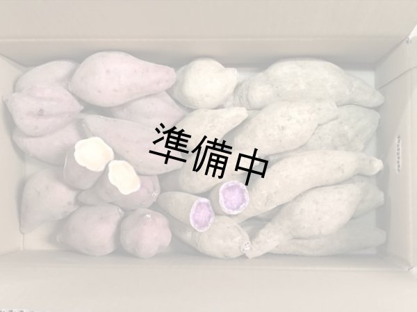 画像1: 安納紅芋と紫芋セット【選別後、一定の量が保管出来ましたら12月に受付を判断します】 (1)
