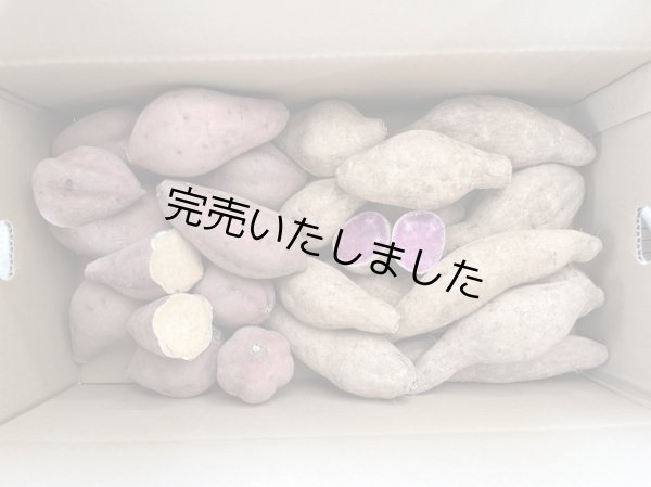 わさび紫つくね芋20kg 希少性が高い紫つくね芋♪ 1kg：高知県産の紫つくね芋｜食べ