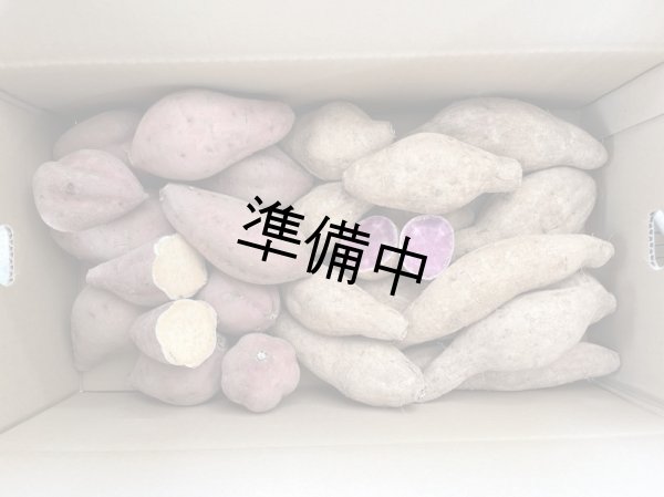 画像2: 安納紅芋と紫芋セット【選別後、一定の量が保管出来ましたら12月に受付を判断します】 (2)