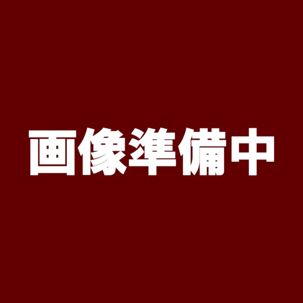 画像1: 安納紅芋２Ｌ以上 (1)