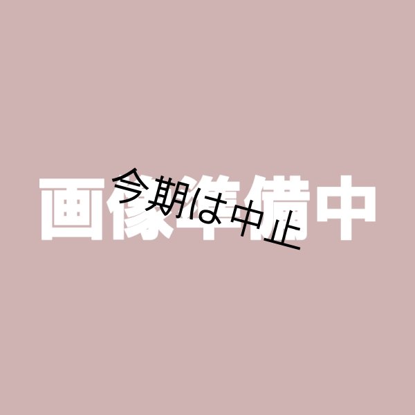 画像1: 安納紅芋２Ｌ以上 (1)