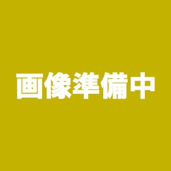 画像1: 安納こがね２Ｌ以上 (1)